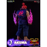 Street Fighter V: Champion Edition - Akuma figure