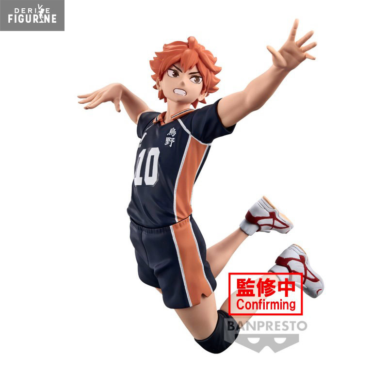 Haikyu!! - Figurine Shoyo...