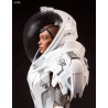 Star Trek Discovery - Michael Burnham or Klingon Torchbearer figure of your choice, Collectors Gallery