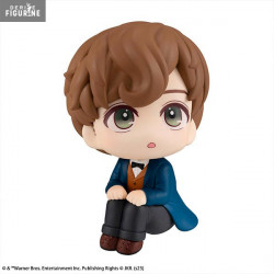 Fantastic Beasts - Newt...