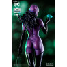 DC Comics - Catwoman figure by Ivan Reis