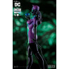 DC Comics - Catwoman figure by Ivan Reis
