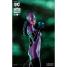 DC Comics - Figurine Catwoman by Ivan Reis
