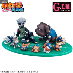 Naruto - Kakashi & Ninken...