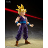 Dragon Ball Z - Super Saiyan Son Gohan figure (The Warrior Who Surpassed Goku), S.H. Figuarts