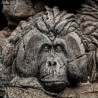 Planet of the Apes - Apes Through the Ages figure
