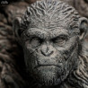 Planet of the Apes - Apes Through the Ages figure
