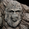 Planet of the Apes - Apes Through the Ages figure