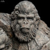 Planet of the Apes - Apes Through the Ages figure