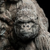 Planet of the Apes - Apes Through the Ages figure