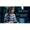 Harry Potter - Figurine Bellatrix Lestrange, Version Prisoner, My Favourite Movie