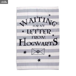 Couverture polaire Harry...