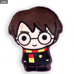 Coussin Harry Potter -...