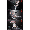 Original Character - Figurine Ambra, EveD Series AMBRA-02 (Strike Cat)