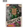 Teenage Mutant Ninja Turtles (Mirage Comics) - Michelangelo figure (The Wanderer)