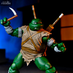 Teenage Mutant Ninja...