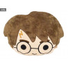 Coussin Harry Potter visage chibi au choix