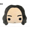 Coussin Harry Potter visage chibi au choix