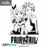 Verre Fairy Tail - Lucy et Natsu