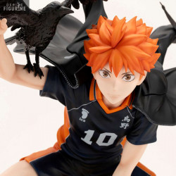Haikyu!! - Figurine Shoyo...