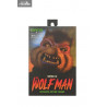 Universal Monsters x Teenage Mutant Ninja Turtles - Figurine Raphael as The Wolfman