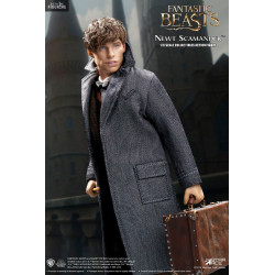 Fantastic Beasts - Newt...