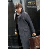 Fantastic Beasts - Newt Scamander figure ver. grey coat, My Favourite Movie