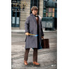 Fantastic Beasts - Newt Scamander figure ver. grey coat, My Favourite Movie