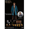 Fantastic Beasts - Newt Scamander figure ver. grey coat, My Favourite Movie