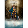 Fantastic Beasts - Newt Scamander figure ver. grey coat, My Favourite Movie