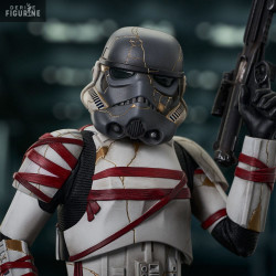Star Wars, Ahsoka - Buste...