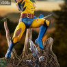 Marvel 90's Comic, X-Men - Figurine Wolverine, Gallery