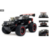 Fast & Furious - Radio controlled car of your choice