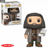 Pop! Harry Potter au choix