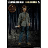 The Walking Dead - Figure Carl Grimes, Classic or Deluxe version