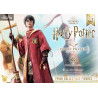 Harry Potter figure Quidditch Edition, Prime Collectibles