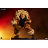 Marvel Gamerverse Classics - Sabretooth figure (Classic Edition)