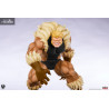 Marvel Gamerverse Classics - Sabretooth figure (Classic Edition)