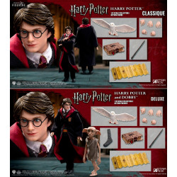 Figure Harry Potter of your...