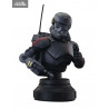 Star Wars: The Clone Wars - Echo bust