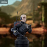 Star Wars: The Clone Wars - Echo bust