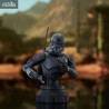 Star Wars: The Clone Wars - Echo bust