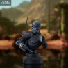 Star Wars: The Clone Wars - Echo bust