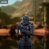 Star Wars: The Clone Wars - Echo bust
