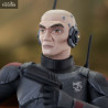 Star Wars: The Clone Wars - Echo bust
