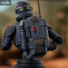 Star Wars: The Clone Wars - Echo bust