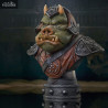 Star Wars VI - Gamorrean Guard buste, Legends in 3D