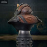 Star Wars VI - Gamorrean Guard buste, Legends in 3D