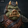 Star Wars VI - Gamorrean Guard buste, Legends in 3D