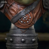 Star Wars VI - Gamorrean Guard buste, Legends in 3D
